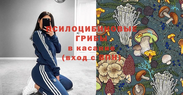 СК Алексеевка